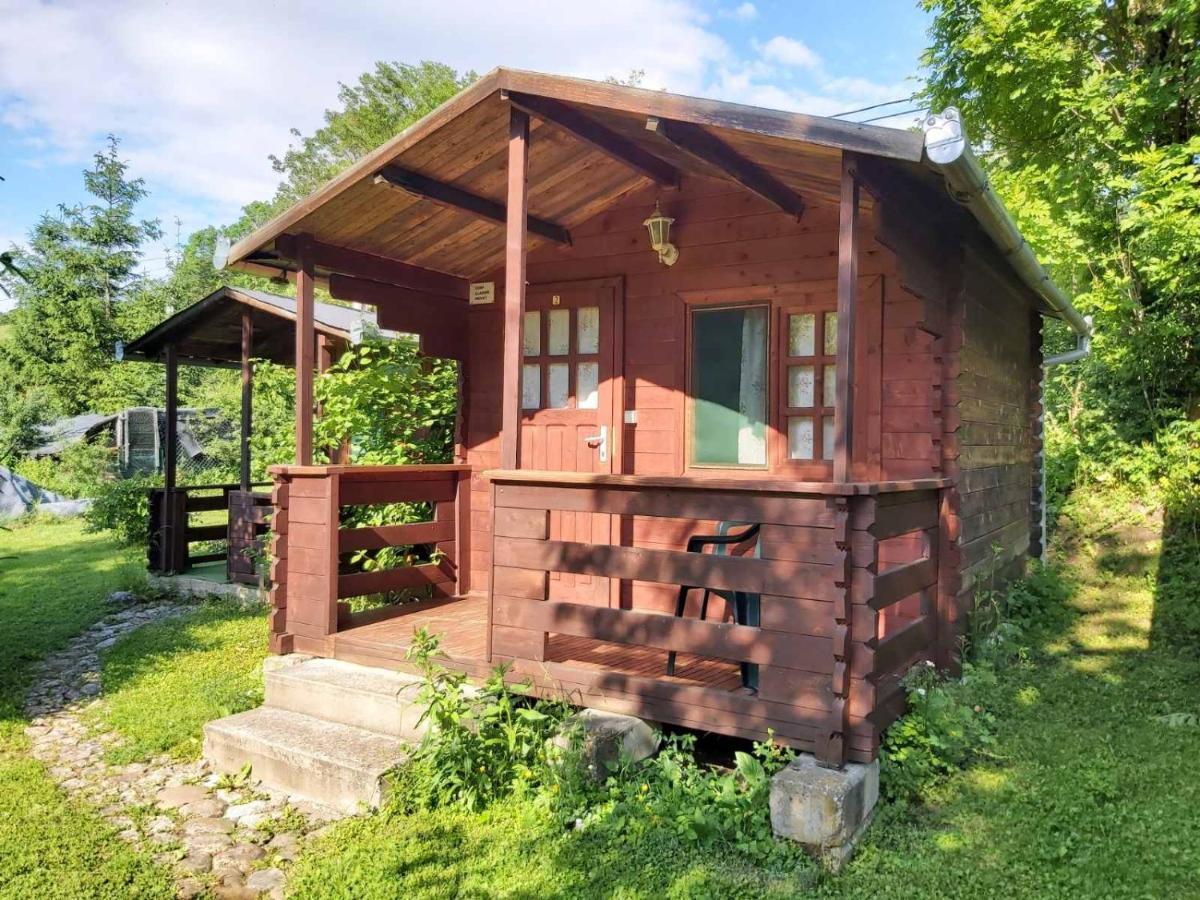 Bungalow Camping Edelweiss - Floare de colt - Gyopár Rimetea Exterior foto