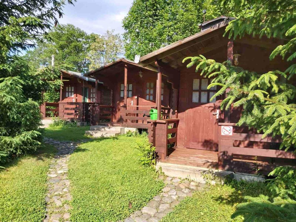 Bungalow Camping Edelweiss - Floare de colt - Gyopár Rimetea Exterior foto